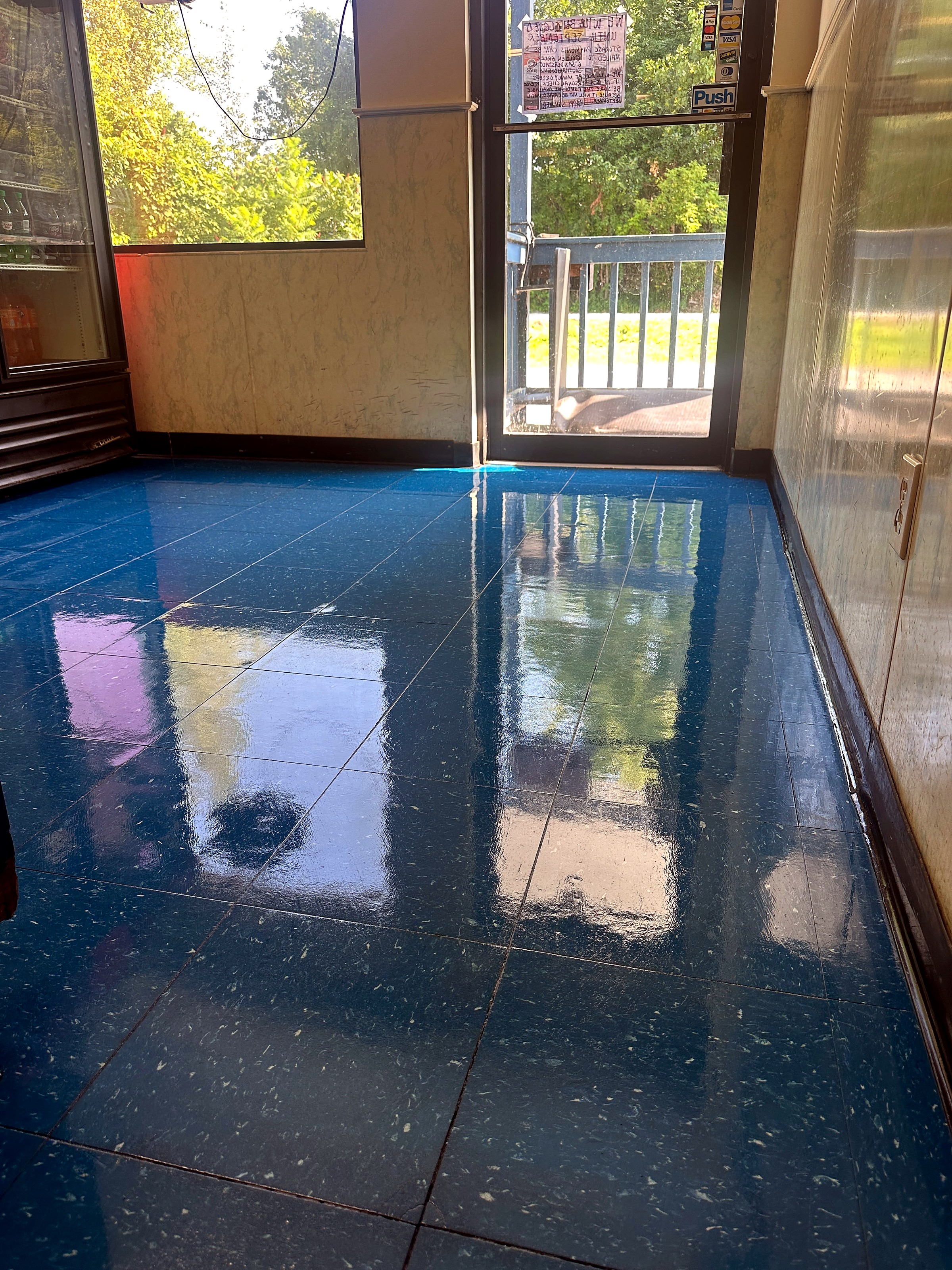 An entrance floor of blue tile, high gloss, reflecting the glass door and the trees outside.